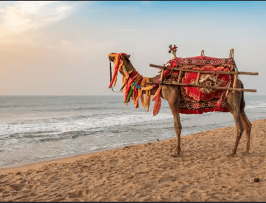 Puri beach at Jagannath Temple